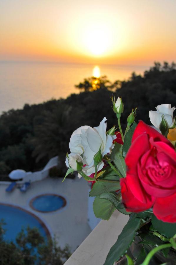 Beautiful Holiday Apartments Maria With Amazing Pool - Agios Gordios Beach Exteriér fotografie